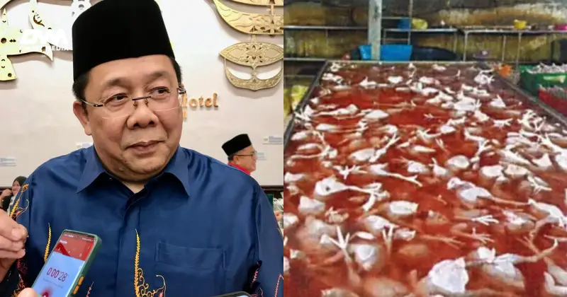 Kecoh Kes Ayam Mati Sebelum Disembelih di Puchong, JAKIM Tampil Buka Mulut